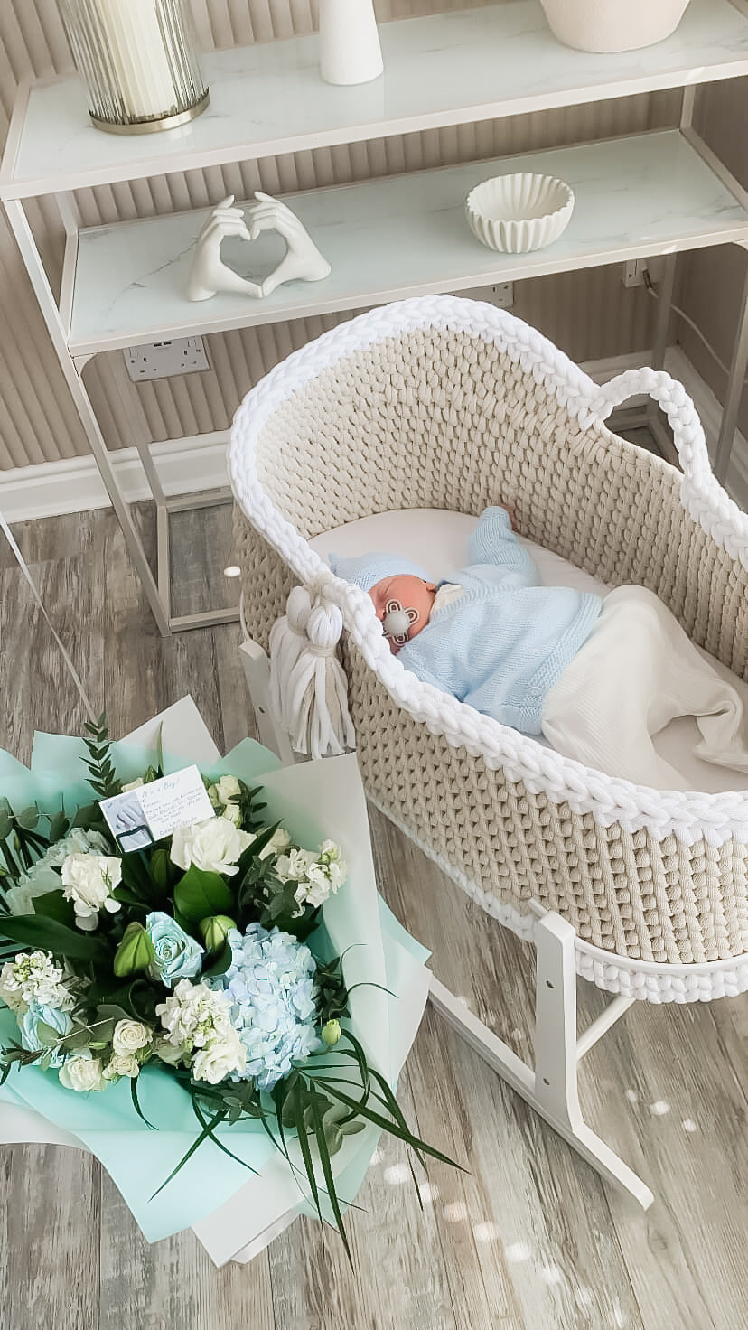 Hooded Crochet Moses Basket