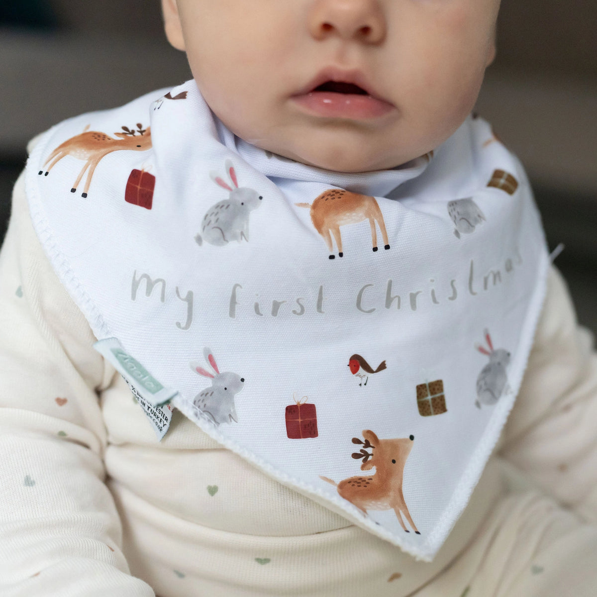 My First Christmas Winter Animals Bib
