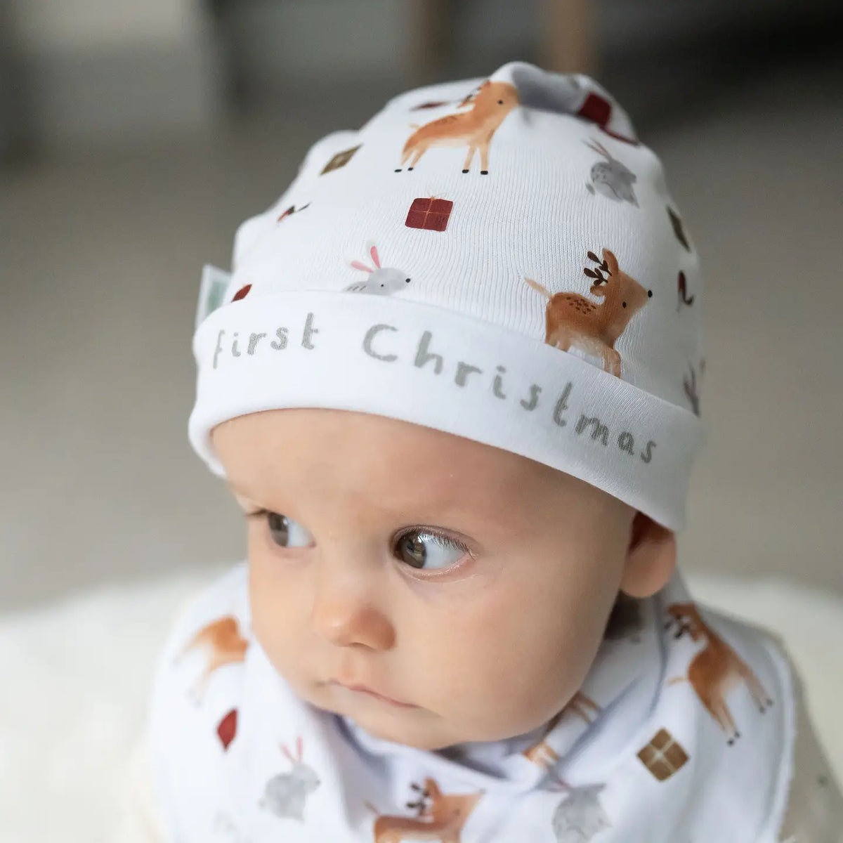 My First Christmas Winter Animals Baby Hat