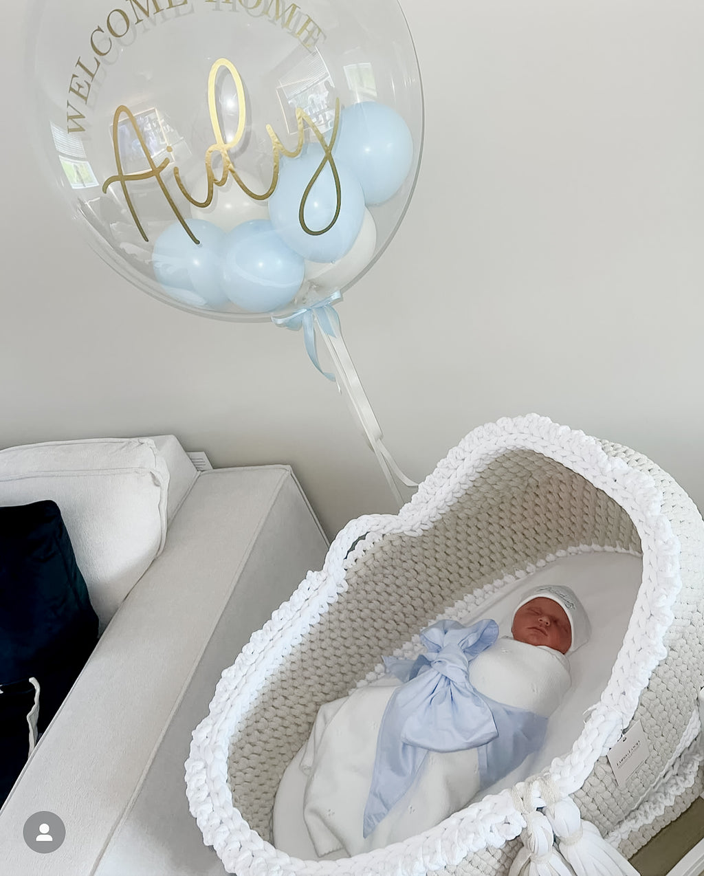 Hooded Crochet Moses Basket