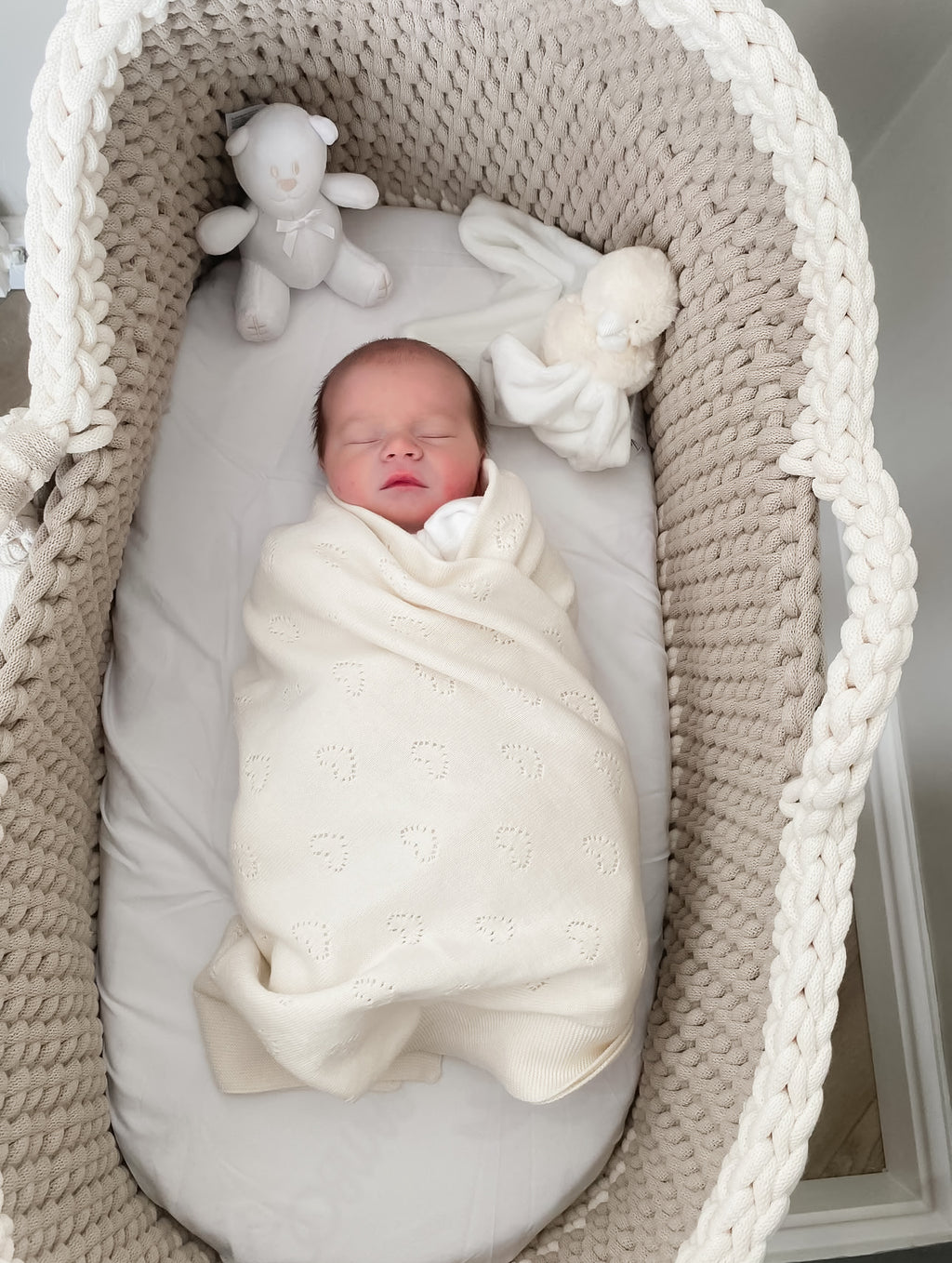Hooded Crochet Moses Basket
